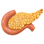 Medico Gastroenterólogo en León