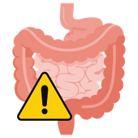 Cirugía gastrointestinal de urgencia Cirugía Asistida por Robot en León