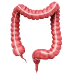 Medico Gastroenterólogo en León