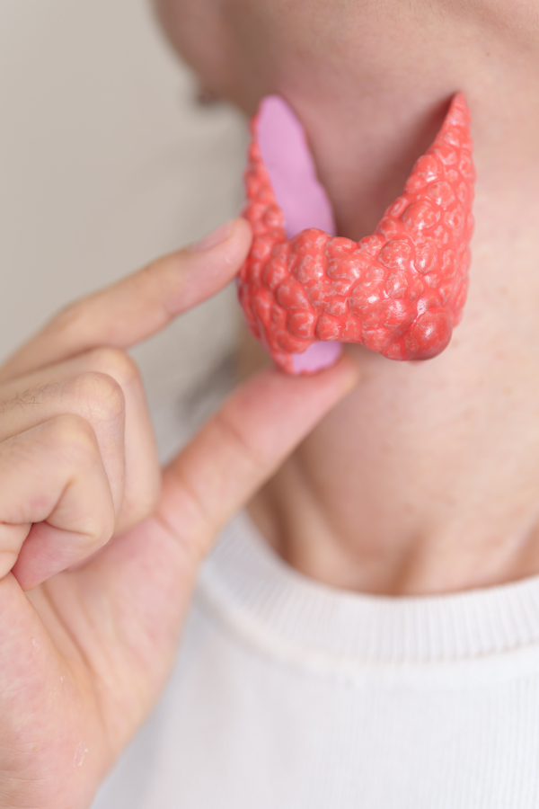 Tiroides Servicios de Gastroenterología en Hospital Muguerza