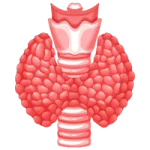 Medico Gastroenterólogo en León